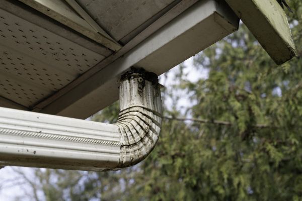 Cost of Roof Drain Replacement in State College